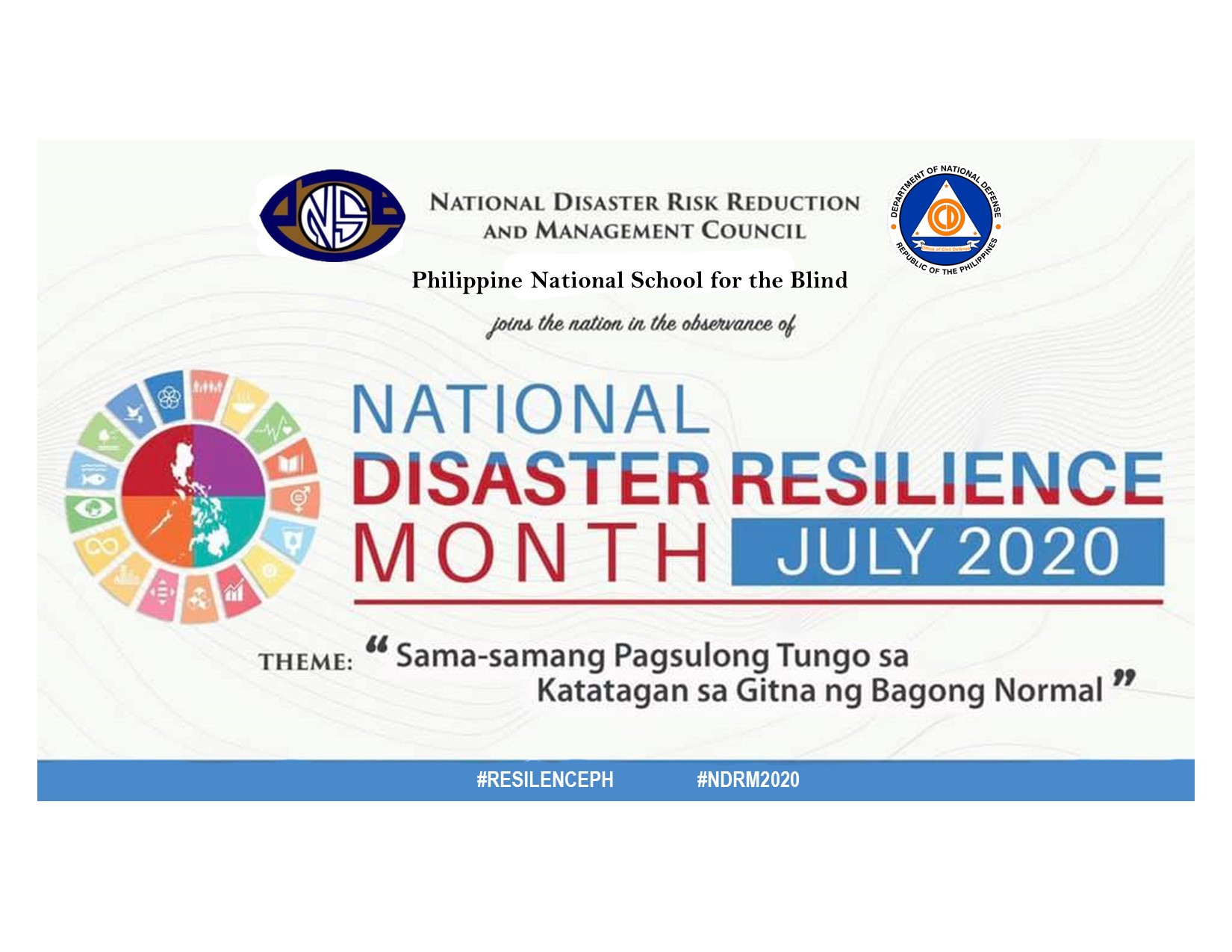 NDRRM Tarpualine
